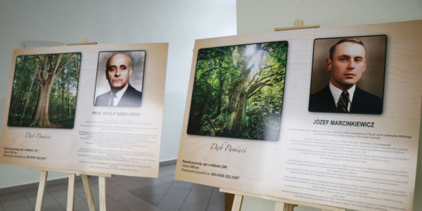 Nowe pomniki przyrody w gminie Jan&oacute;w. Dęby uhonorują wybitne postaci związane z regionem