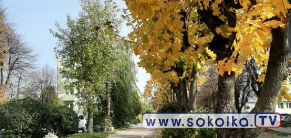 Pogoda na weekend: Złota polska jesień w Sok&oacute;łce
