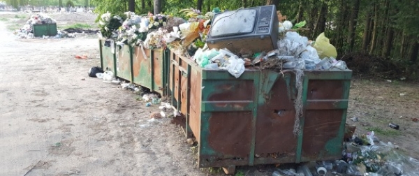 Czytelnik