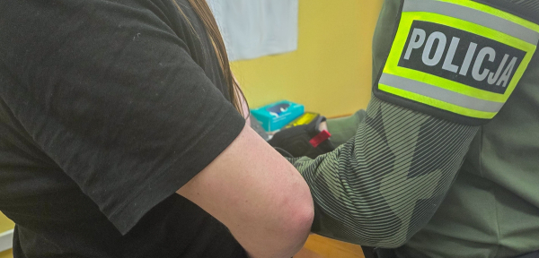 Policja zatrzymała czw&oacute;rkę mieszkańc&oacute;w miasta po pr&oacute;bie wtargnięcia do mieszkania i groźbach [Zdjęcia]