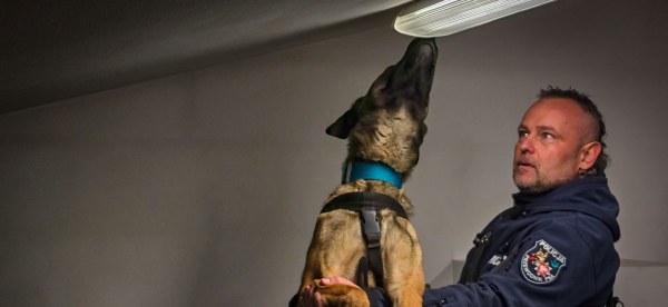 Policjanci i psy szkoleni w wykrywaniu narkotyk&oacute;w i materiał&oacute;w wybuchowych