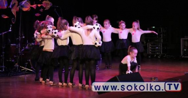 31. Finał WOŚP w Sok&oacute;łce [Film, Zdjęcia]