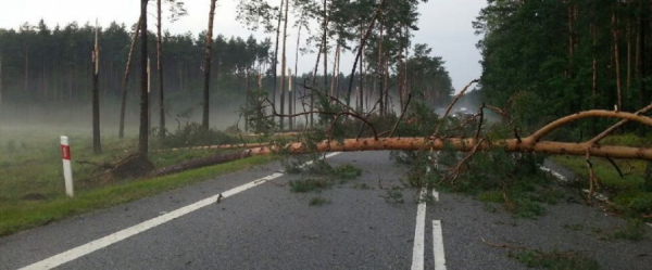 IMGW-PIB wydał ostrzeżenie pierwszego stopnia o silnym wietrze