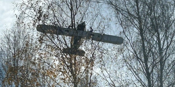 Dron z kontrabandą rozbił się na drzewie. W środku były setki paczek papieros&oacute;w