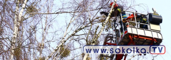 NA SYGNALE: Interwencja na ul. Mickiewicza [Zdjęcia]