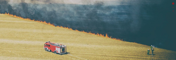 STOP POŻAROM TRAW! [Film]
