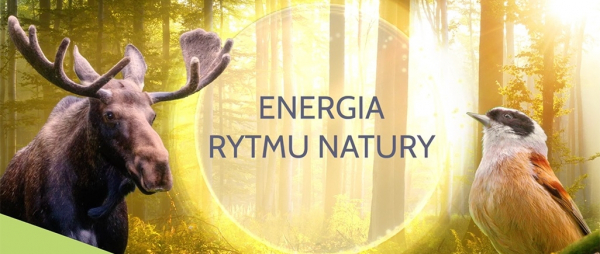 PGE Polska Grupa Energetyczna zaprasza do odwiedzania polskich park&oacute;w narodowych