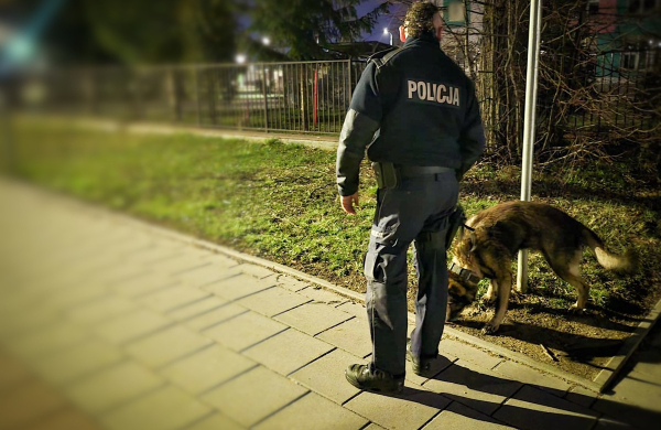 Policyjny pies Niko pom&oacute;gł zatrzymać włamywacza