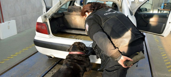 Przemyt w podłogach osob&oacute;wek [Zdjęcia]