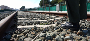 Mieszkaniec Sok&oacute;łki stanął pod zarzutem nielegalnego składowania odpad&oacute;w wykazujących właściwości niebezpieczne dla życia i zdrowia