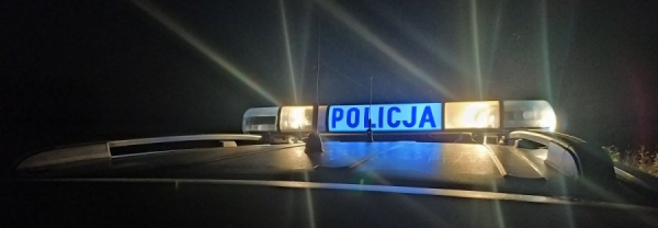 Brak aresztu dla 26-latka, kt&oacute;ry zabił dwa psy