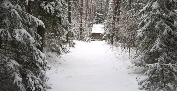 Zaproszenie na spacer literacki z cyklu "Cztery pory roku w arboretum".