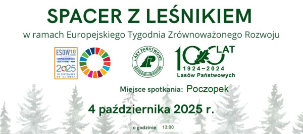 Spotkanie w lesie – „Od nasiona do Drzewa”