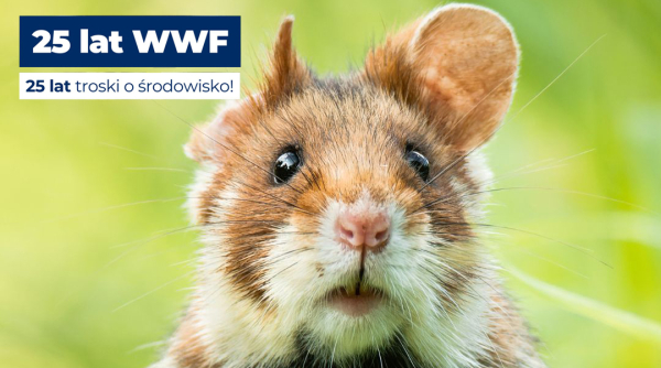 25 lat WWF Polska &ndash; Pasja, kt&oacute;ra zmienia świat na lepsze.