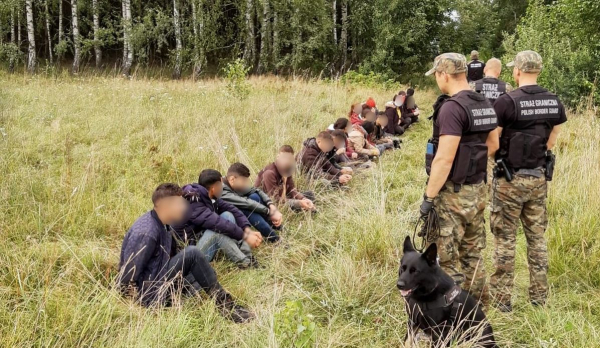 Duże grupy nielegalnych migrant&oacute;w na polsko-białoruskiej granicy [Zdjęcia]