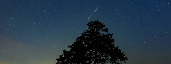 Wkr&oacute;tce przesilenie letnie i początek astronomicznego lata
