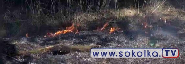 NA SYGNALE: Pożar trawy w Sok&oacute;łce