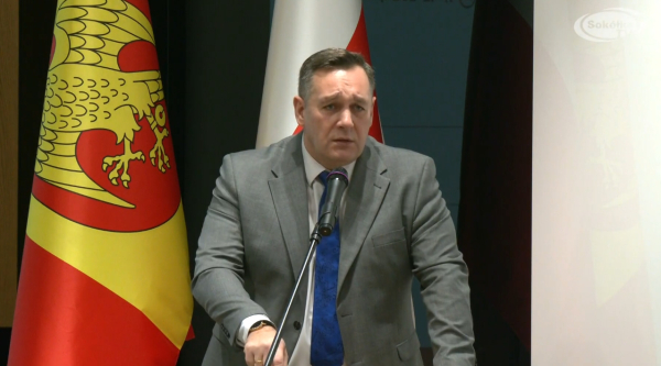 Starosta apeluje o wycinkę drzew przy drogach