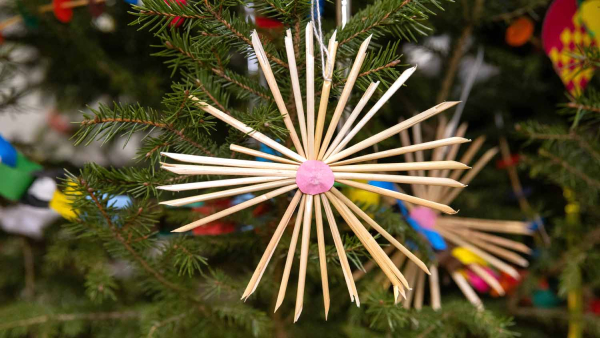 Historia choinki bożonarodzeniowej